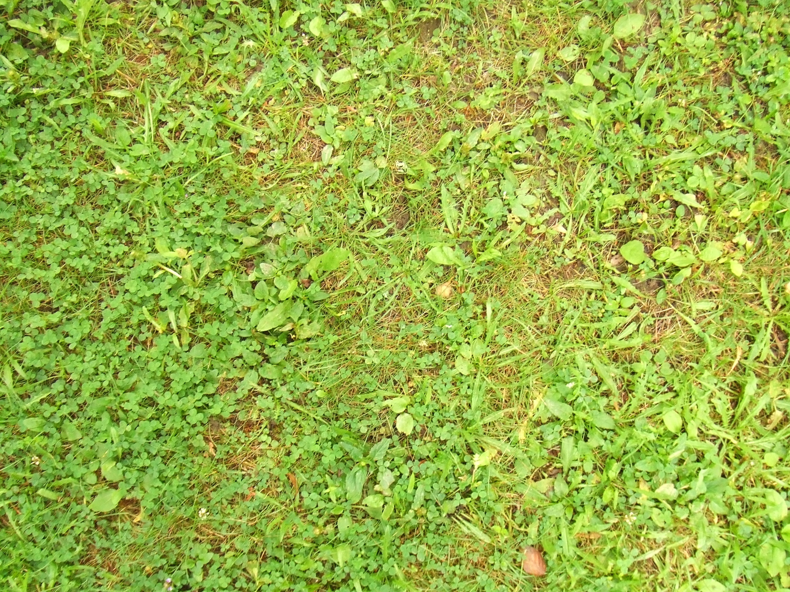 DSCF3280