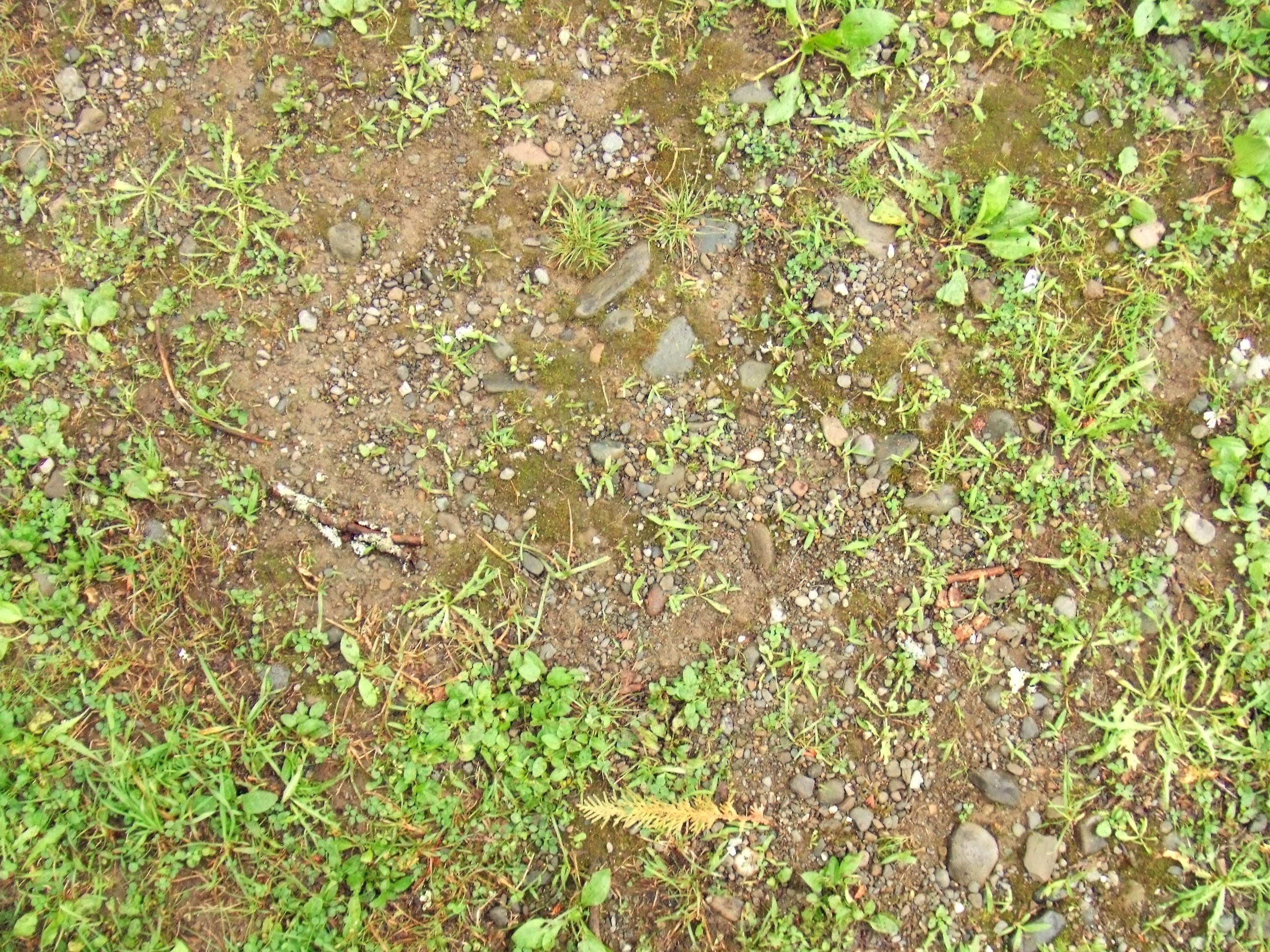 DSCF3281