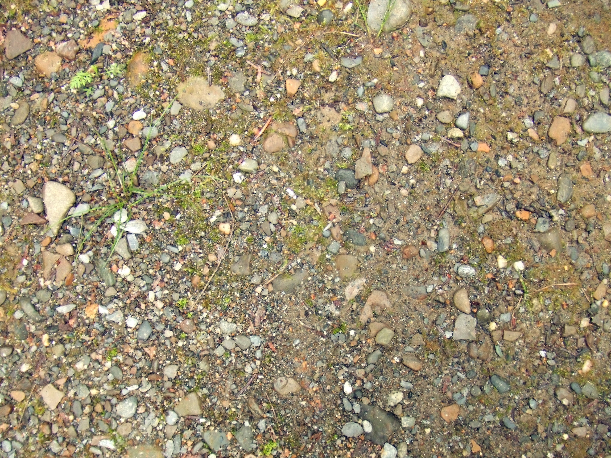 DSCF3296