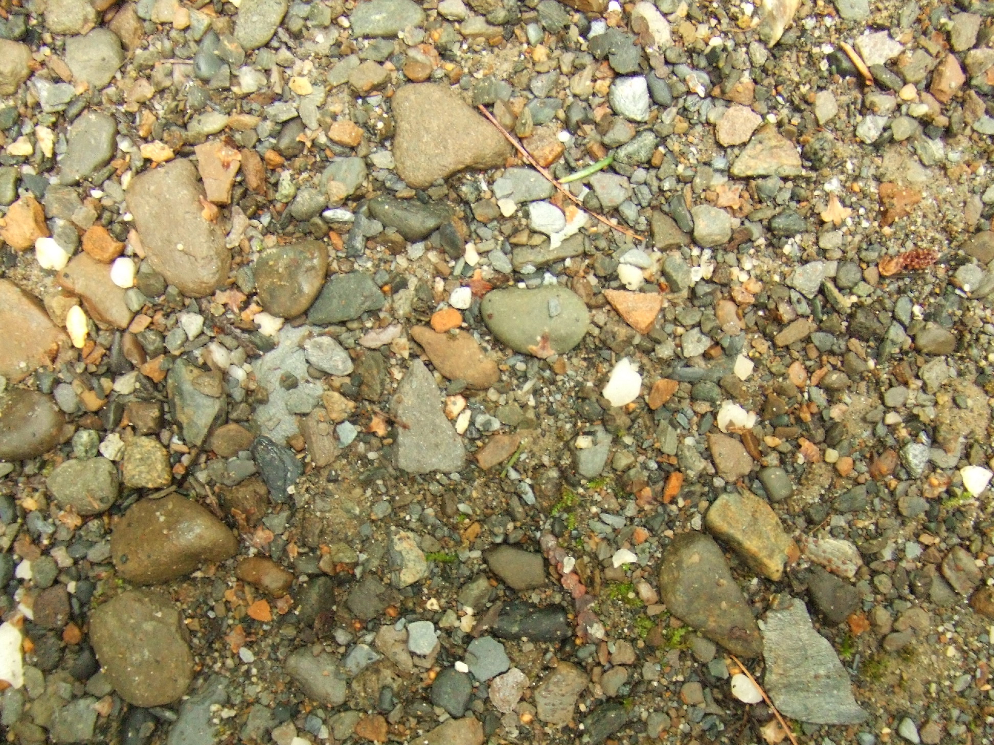 DSCF3297